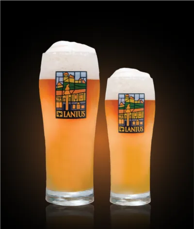 Pivo American Pale Ale 13° v pohári