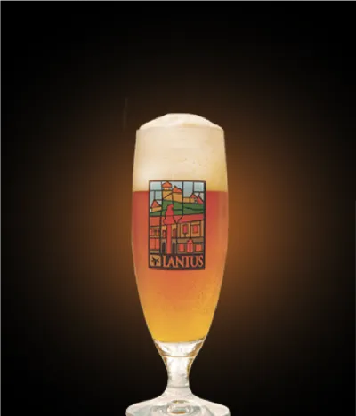 Pivo Australian Galaxy Lager 12° v pohári