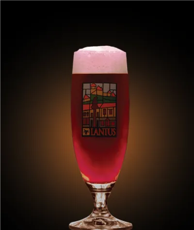 Pivo Belgian Mulberry Tripel 24° v pohári