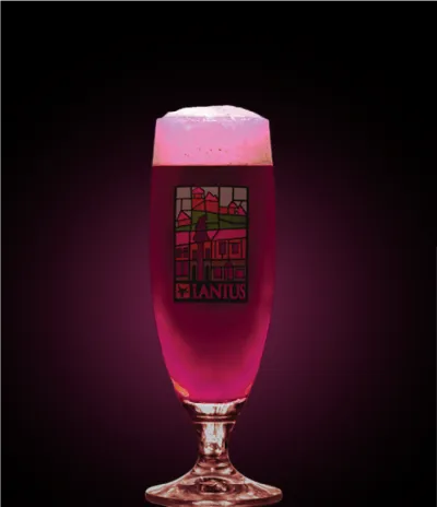 Pivo Belgian Cassis Tripel 20° v pohári