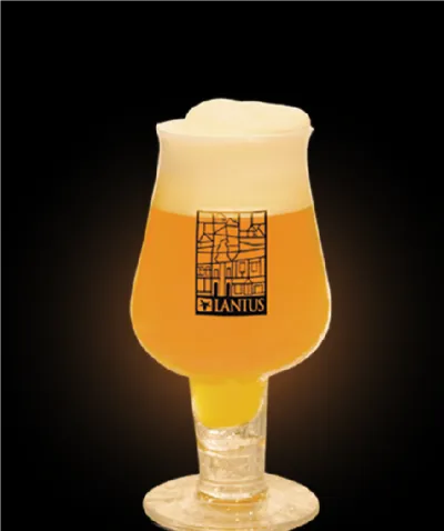 Pivo Belgian Abbey Tripel 21° v pohári