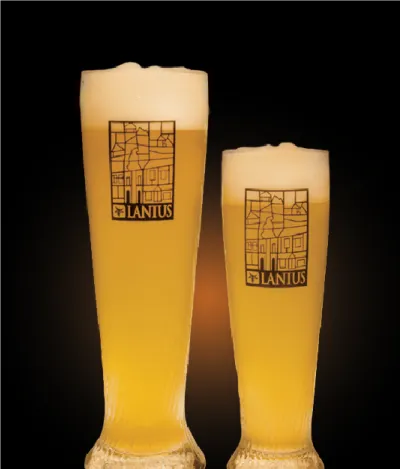 Pivo Belgian Summer Ale 13° v pohári