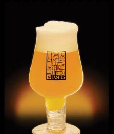 Belgian Hoppy Tripel 22° beer in a glass