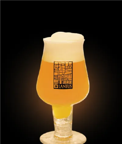 California Tripel 22° beer in a glass