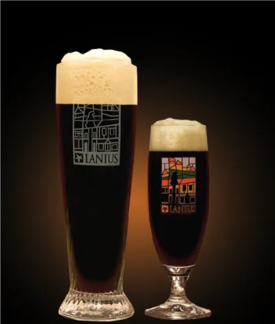 Cappuccino Stout 11° beer in a glass
