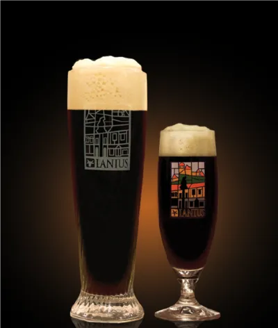 Pivo Dark Ale 10° v pohári