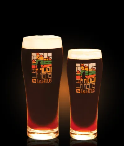 Pivo Irish Dry Stout 10° v pohári