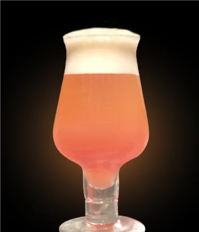 Pivo Ginger Berliner Weisse 13° v pohári