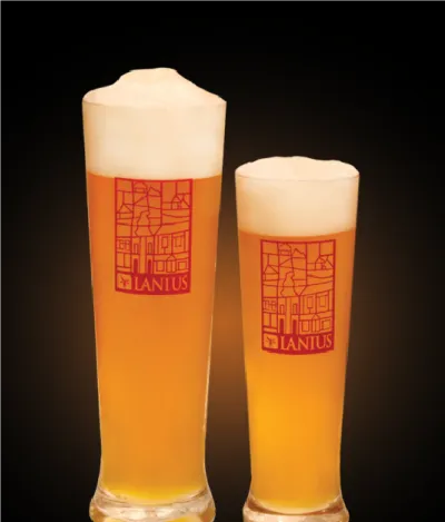 Pivo Gose 11° v pohári