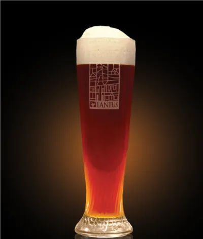 Pivo Hoppy Saison 19° v pohári