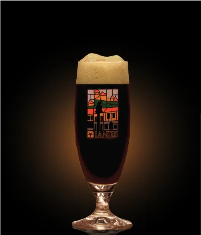 Pivo Imperial Orange Porter 19° (2016) v pohári