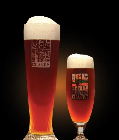 Pivo IPA 17° v pohári