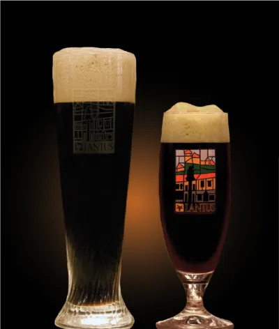 Pivo Irish Stout 16° v pohári