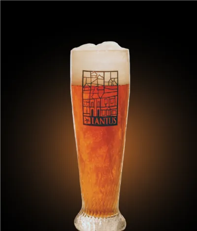 Pivo Lanius Pumpkin 14° v pohári