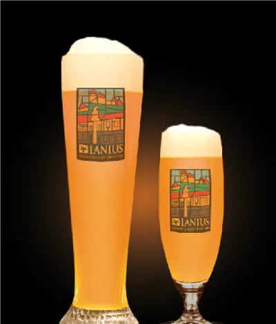 Pivo Mandarina IPA 15° v pohári