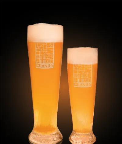 Pivo Motueka v pohári