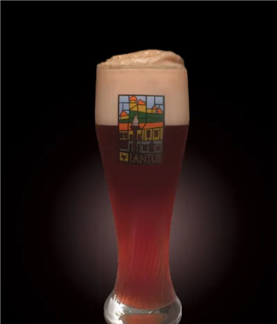 Pivo Mulberry Cider Ale v pohári