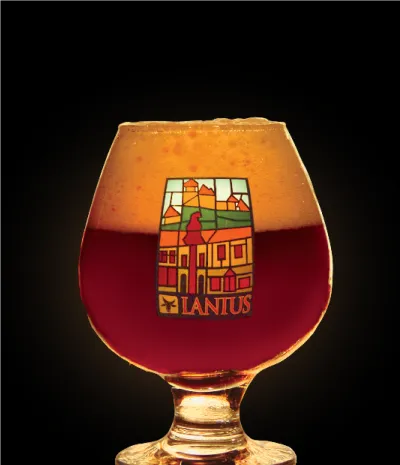 Pivo Mulberry Eis 15° v pohári