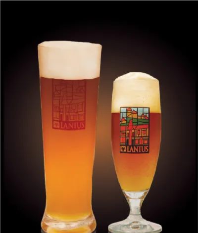 Pivo NonstHOP Session IPA 11° v pohári
