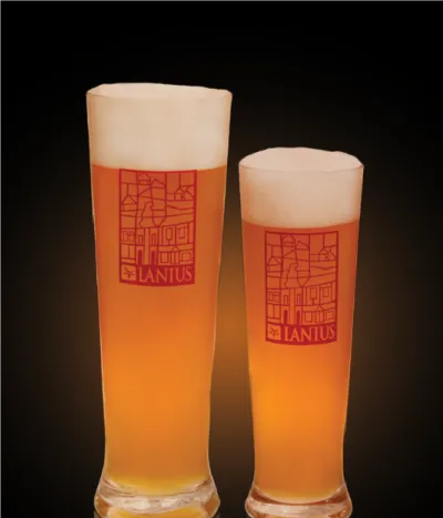 Pivo Belgian Enkel Patersbier 10° v pohári