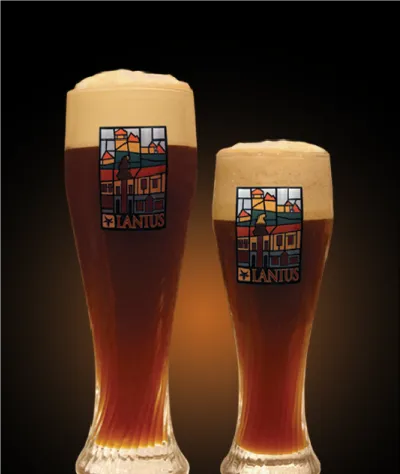 Pivo Roggenbier 12° v pohári