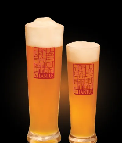 Pivo Sorachi Summer Ale 11° v pohári