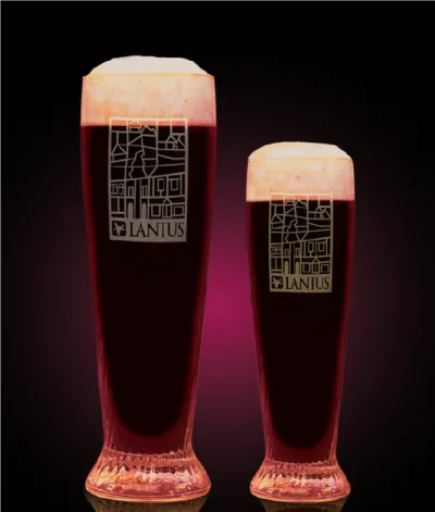 Pivo Sour Cherry Gose 11° v pohári