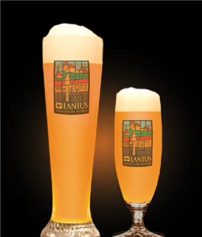 Pivo Sterling IPA 15° The Pineapple v pohári
