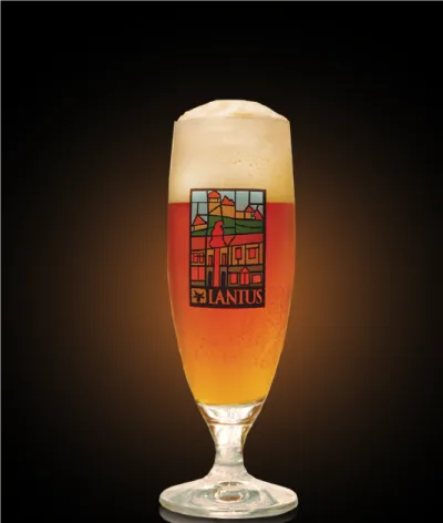 Pivo The Juice 15° Citra IPA v pohári