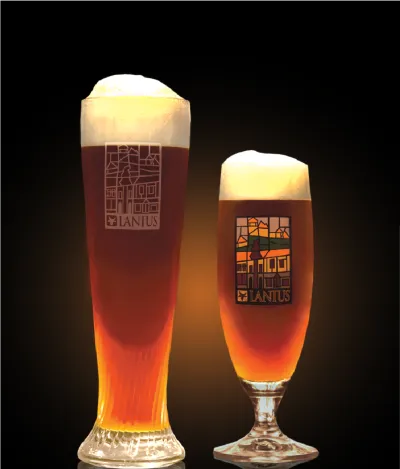 Pivo Tropical IPA 14° v pohári