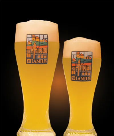 Pivo Witbier 13° v pohári